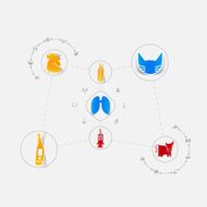 Set of veterinary icons N10