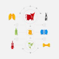 Set of veterinary icons N17
