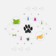 Set of veterinary icons N29