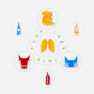 Set of veterinary icons N45