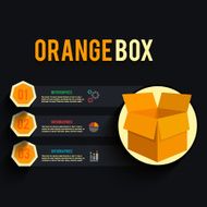 Carton Box N4