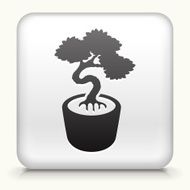 Square Button with Bonsai Tree N2