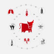 Set of veterinary icons N57