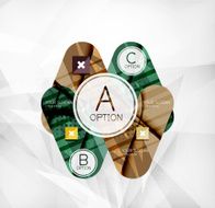 Modern infographic option layout N42