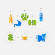 Set of veterinary icons N78