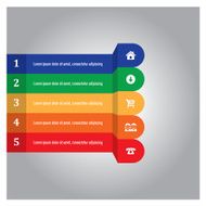 Infographic Options N8