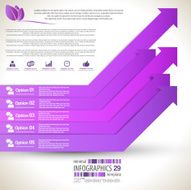Minimal infographic N135