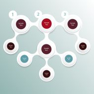 colorful round diagram infographics N8