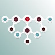 colorful round diagram infographics N9