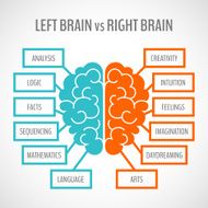 Brain hemispheres infographics