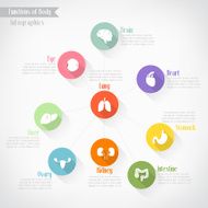 Functions of body infographics vector eps10