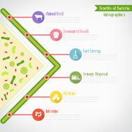 Benefits of bacteria infographics vector eps10