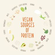 Vegan sources of protein