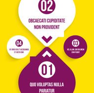 Infographic Elements Business design N19