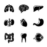 Internal human organs icons set with - heart brains lungs