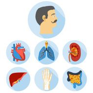 Flat design icons of human anatomy N2