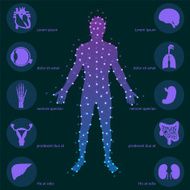 Medical background Human anatomy N3