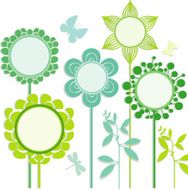 Info flowers