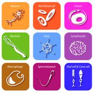 Set icons with shadow Human anatomy