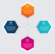 Vector colorful info graphics for your business presentations N215