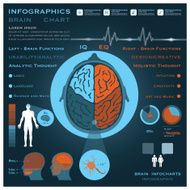 Brain Infographic Infocharts Health And Medical N2