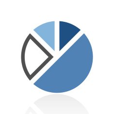 Pie Chart icon on a white background N44