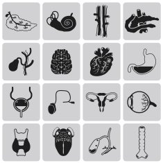 Vector Black icons of internal human organs Flat design set2