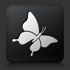 Black Square Button with Butterfly Icon