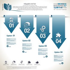Minimal infographic N81