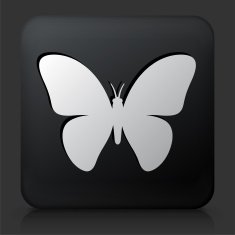 Black Square Button with Butterfly N2