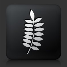 Black Square Button with Leaf Icon N13