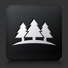 Black Square Button with Three Trees