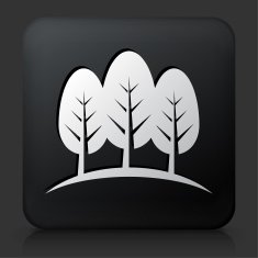 Black Square Button with Three Trees N2