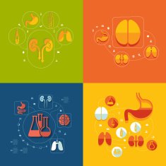 Medical flat infographic N38