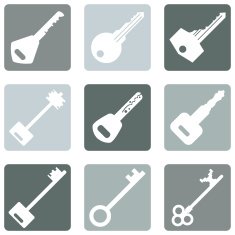 Vector Set of Keys Icons N15