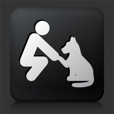 Black Square Button with Pet Friendship Icon