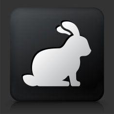 Black Square Button with Rabbit