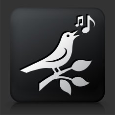 Black Square Button with Bird Icon N5