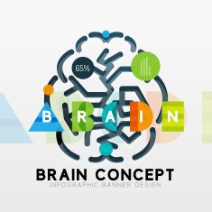 Brain minimal line style infographic banner design N3