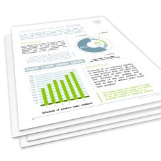Company Year Report