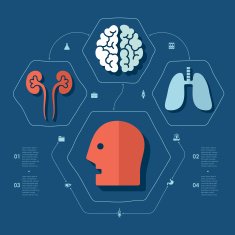 Medical flat infographic N49