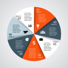 Vector circle diagram infographic for business presentation N16