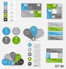 Collection of Infographic Templates for Business Vector Illustration N22