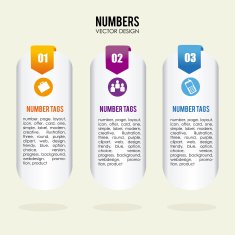 Infographic Design N137