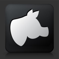 Black Square Button with Pig Head Icon