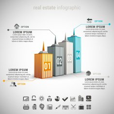Real Estate Infographic N15