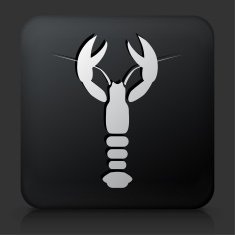 Black Square Button with Lobster Icon N2