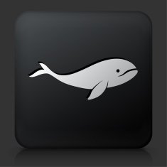 Black Square Button with Whale Icon