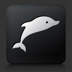 Black Square Button with Dolphins Icon