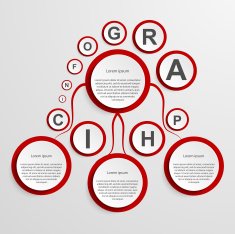 Abstract infographic design template N12